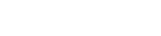 Troy Authority